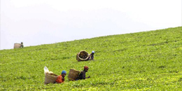 Africa - Cheap Flights to Morocco