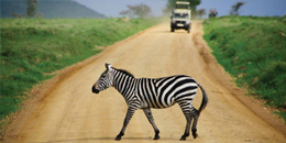 Africa - Cheap Flights to Morocco